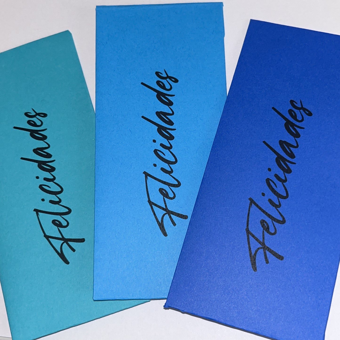 Paquete de Money Holders | 10 cm x 15 cm